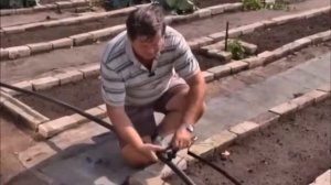 Как сажать на узких грядках