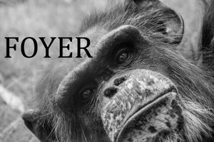 Techno _ Cyberpunk _ Industrial Bass Mix 'FOYER'