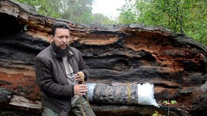 Солдатский ремень брезентовый. Для бушкрафта/туризма