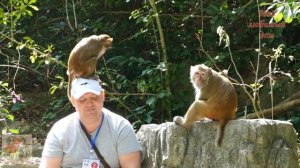 ОСТРОВ ОБЕЗЬЯН на Хайнани, КИТАЙ: что можно увидеть на экскурсии