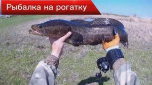 Рыбалка на Рогатку - Slingshot Fishing