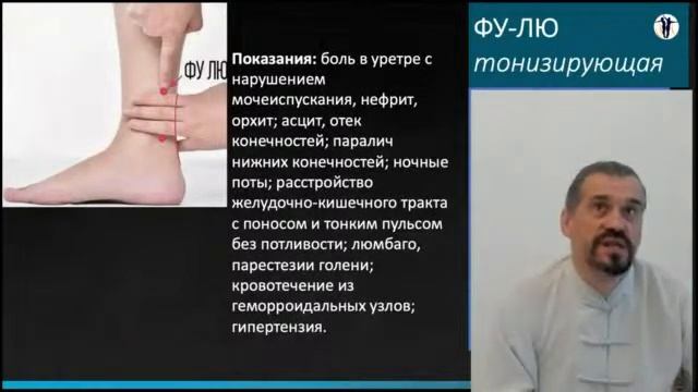 Лекторий, меридиан почек смотреть онлайн
