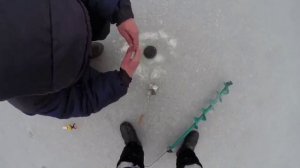 Рыбалка. Ловля карася зимой.