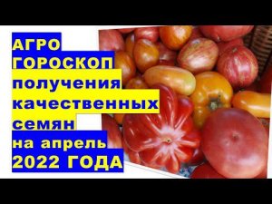 Агрогороскоп посевов и посадок для получения качественных семян в апреле 2022 года