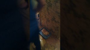 Спит в туалете