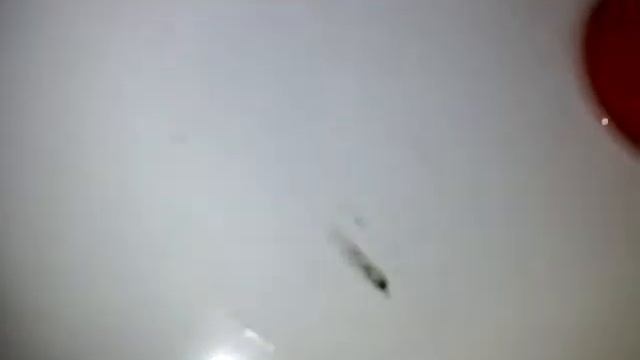 Как делать фломастер ярче смотреть онлайн