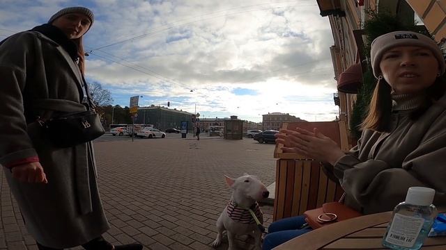 Приключения Тора в Питере. Бультерьер в городе. смотреть онлайн