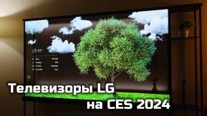 LG поражает своими OLED-телевизорами!