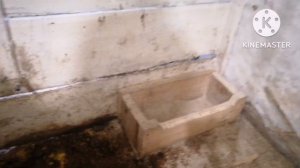 вентиляция в сарае