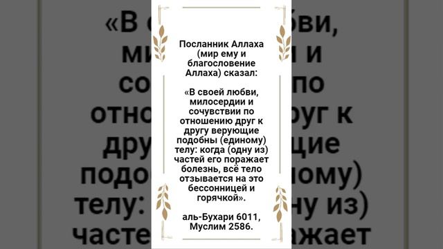 📅 02 Раджаб - 24 января, 2023 г. (1444 г. по хиджре)