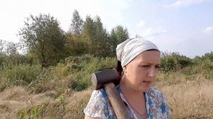 ПРОВЕРЯЕМ КОРОВ НА СТЕЛЬНОСТЬ#РЕЗУЛЬТАТЫ УДИВИЛИ?