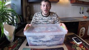 Вяленая Рыба Рецепт Вяленой Рыбы (Вяление Рыбы, Рецепт Вяленой Рыбы)
