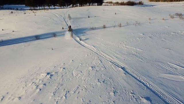 dog chasing skidoo sunset thunder bay alpine 2 ii skidoo смотреть онлайн
