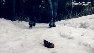 Шоу «Идиоты» Охота на кабана
