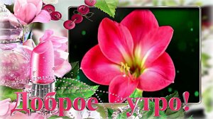 Доброе утро! / С добрым утром!