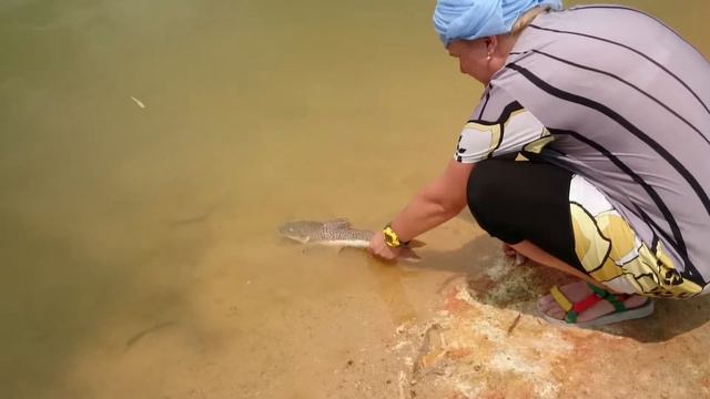 Рыбалка в Паттайе. смотреть онлайн