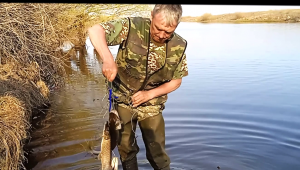 Джиг риг удочка и донка сделали свое дело ерик Петлеватый порадовал как никогда.