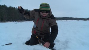 Ловля щуки. Балансиры Mebaru. Практика ловли с Валерием Сикиржицким.