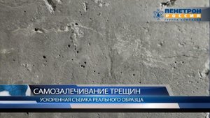 Пенетрон-Адмикс добавка в бетон Самозалечивание трещин в бетоне