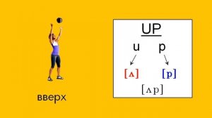 Английский школьникам. Тренажер по чтению. 2 урок