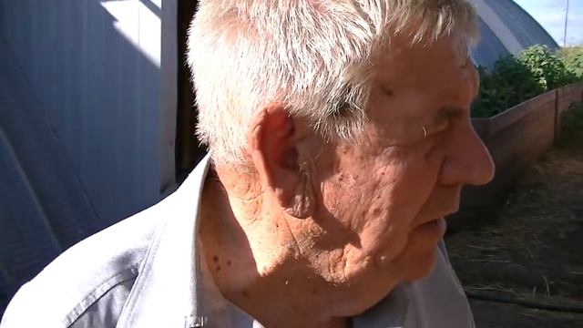 Особенности романовской породы овец 0+ смотреть онлайн