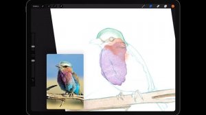 Painting in Procreate with Watercolor Brushes (MaxPacks) -- Real Time Tutorial