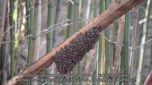Шопинг в Нячанге: что и где купить?