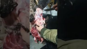 Отзыв охотника на нож Соболь М398 при разделки Бобров