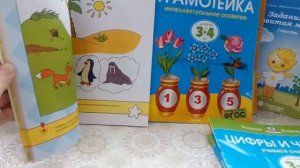 Развивающие пособия для занятий с детьми.