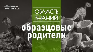 Как динозавры создавали семьи и заботились о потомстве? Лекция палеонтолога Ярослава Попова.