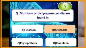 100 IMPORTANT MCQ'S FROM PLANT PATHOLOGY, PART :2 |FOR JRF,SRF,NET,BHU,AFO,NABARD EXAMS|