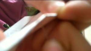 Как сделать кормушку из бумаги