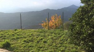 Дома, домик недорого в Италии - Дольчеаква Лигурия дом