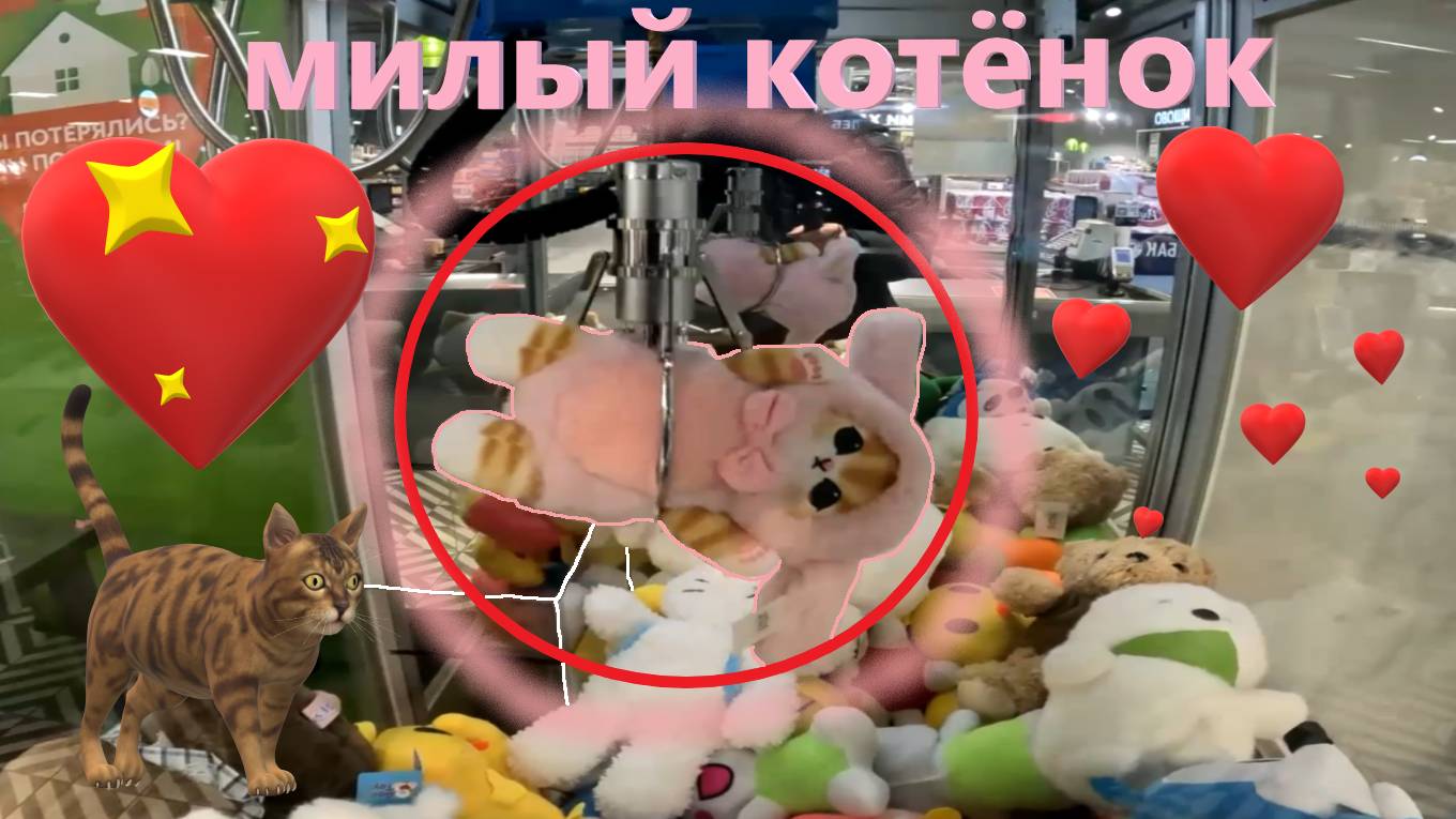 Много КОТОВ в любимом автомате-хватайке жадного владельца в Барыбино!!! Получится ли выиграть???