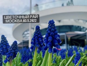 Москва цветочный рай 03.05.2022