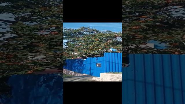 27 октября ✅ Лето продолжается ☀??