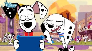 Animals Vs Humans Green Screen #save101dalmatianstreet