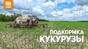 Работа аппликатора-растениепитателя J&M на подкормке кукурузы
