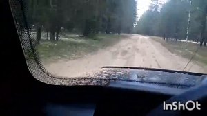 Второй день на Пантый ,собираем грибы.нива2131