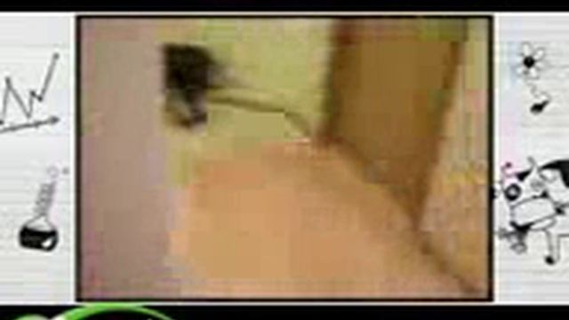 Как собака собирается на дачу смотреть онлайн