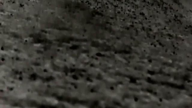 Fox on the hill, came in lovely to the squeak. Rico RL42. смотреть онлайн