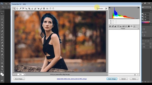 1 Minute Photoshop - Outdoor Portrait Editing FREE Camera Raw Preset смотреть онлайн
