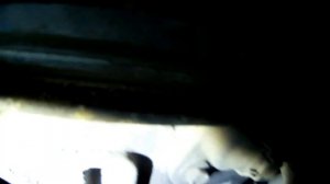 Где номер двигателя Форд Мондео III v6 2,5