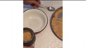 ЕДА ПРЕДКОВ  - ЦАМПА (ТАЛҚАН) всего за 30 тенге!!!