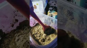 Маска для волос из бесцветной хны, пажитника, гиалуроновой кислоты и эф. масла розмарина