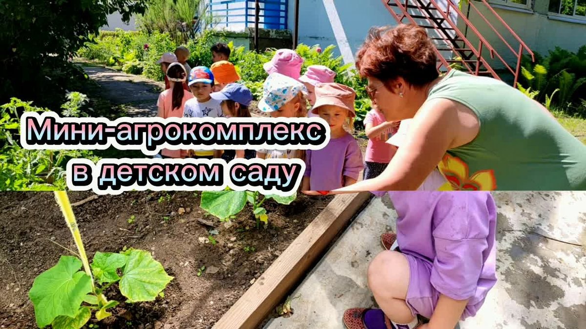 Мини-агрокомплекс как механизм ранней профориентации дошкольников на сельскохозяйственные профессии