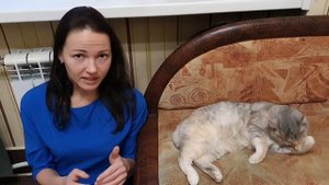 Потеряли Кошку / Как Выманить и Поймать Кота / Кошколовка / Петербург 2020