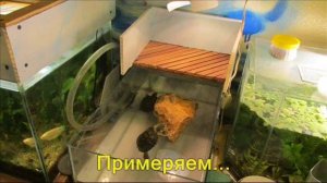 Островок  для черепах. Своими руками.