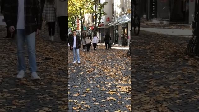 Autumn leaves in streets in Weiden, Germany #fall #weiden #Bavaria #shorts