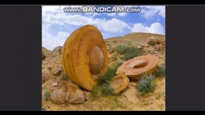 Кремниевая форма жизни